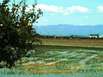 Ebrodelta