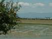 Das Ebro-Delta