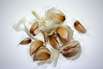Knoblauch