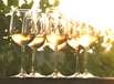 Anbieter Links Adressen Wein Winzer Weinhandel Verkostung