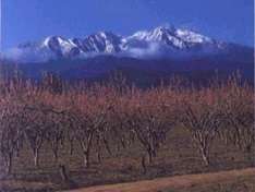 Le Canigou - Heiliger Berg der Katalanen