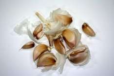 Knoblauch
