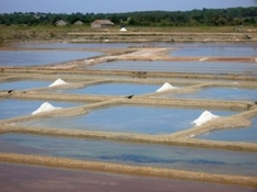 Meersalz