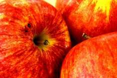 Obst-Katalonien