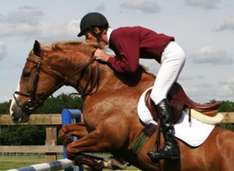 Reiten Katalonien: Internationales Springreitturnier Barcelona CSIO 2008