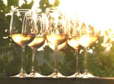 Anbieter Links Adressen Wein Winzer Weinhandel Verkostung