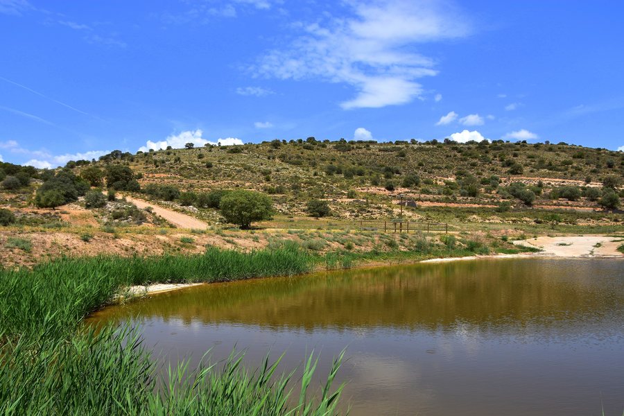 File:Bassa, Algerri, la Noguera, Lleida.jpg