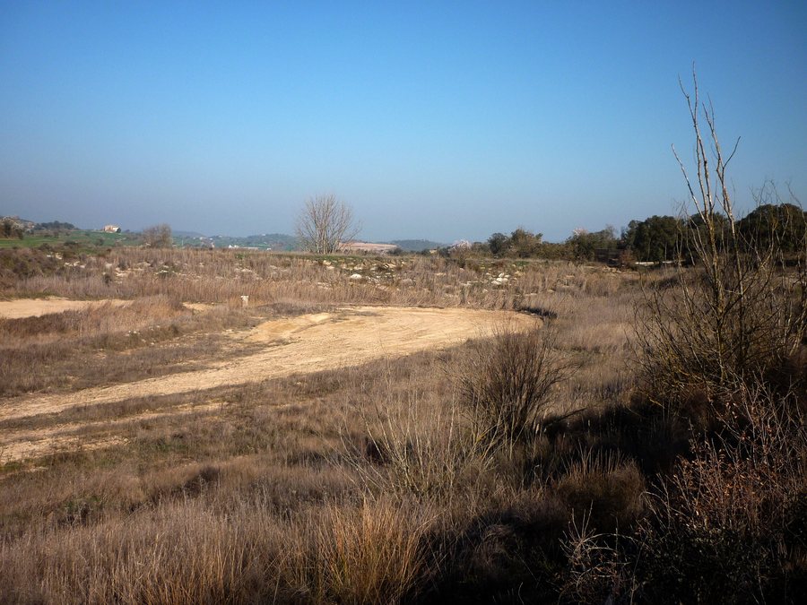 File:PANTÀ DE LA BASSA - PALOUET - IB-453.JPG