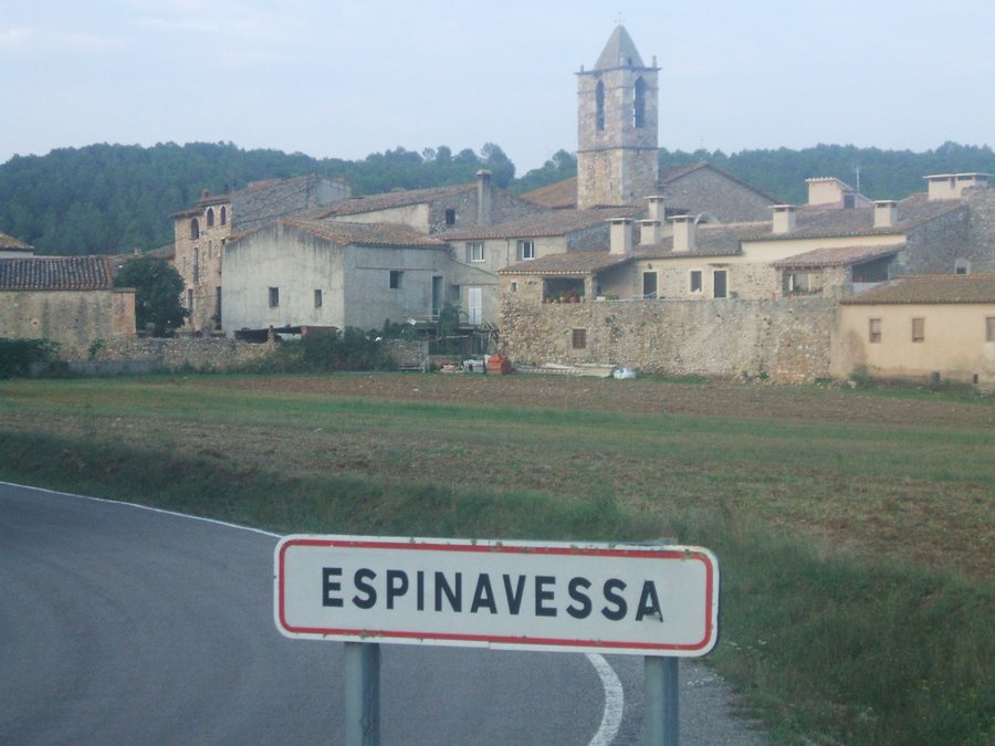 File:Espinavessa.jpg