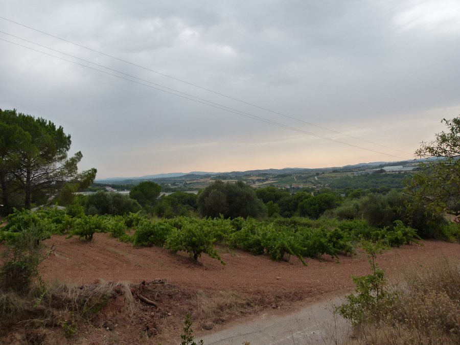 File:Vista tot pujant a Castellví de Rosanes - P1150200.jpg