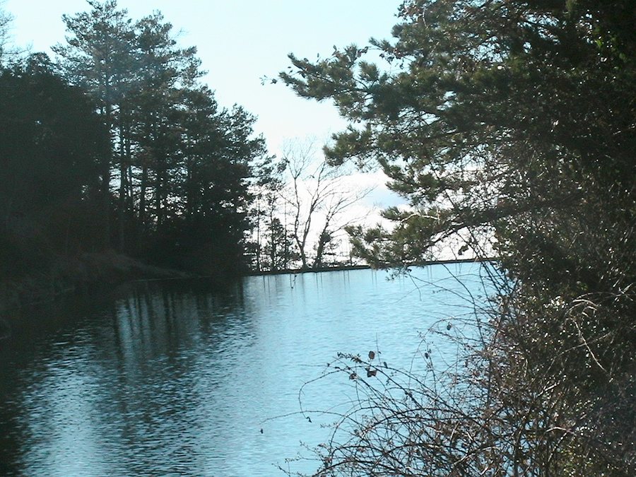 File:PANTÀ DE L'ESPUNYOLA - IB-221.JPG