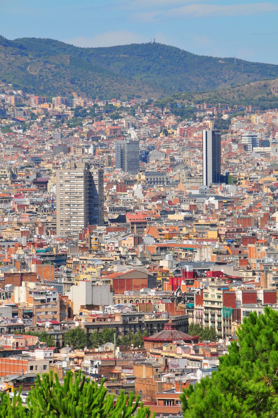 Panorama über Barcelonas Dächer vor bewaldeten Hügeln