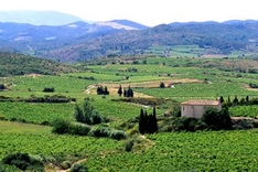Corbieres – Land der Weine und Winzer